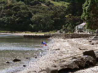 Shelly Beach