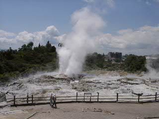 Geysir in Whakarewarewa