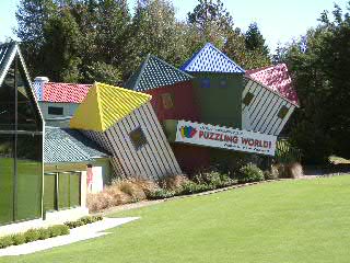 Puzzling World