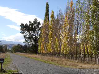 Herbststimmung