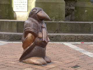 Der yellow eyed penguin watschelt mitten durch Dunedin.