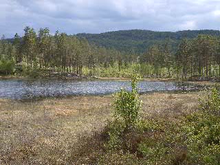 Moorsee (91k)