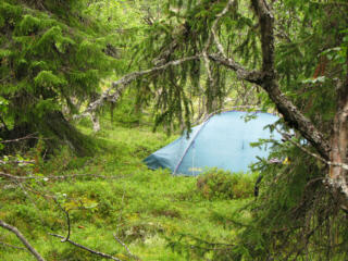 unser Zelt am Langevatn